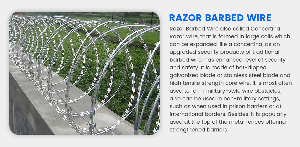 Razor-Barbed-Wire_01.jpg