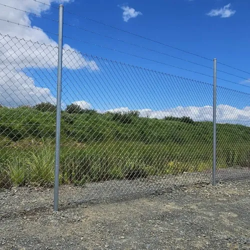 Galvanized Chain Link Fence Galvanized Chain Link Fence