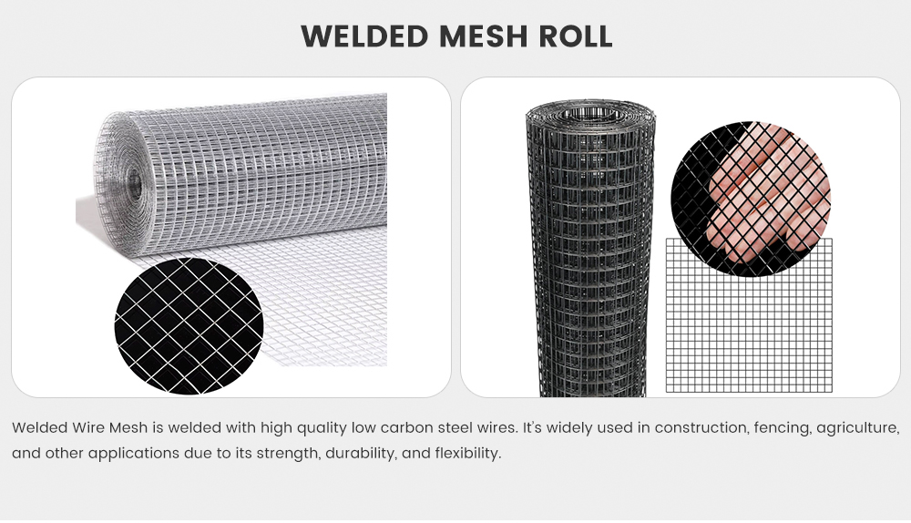 Welded-Mesh-Roll_01.jpg