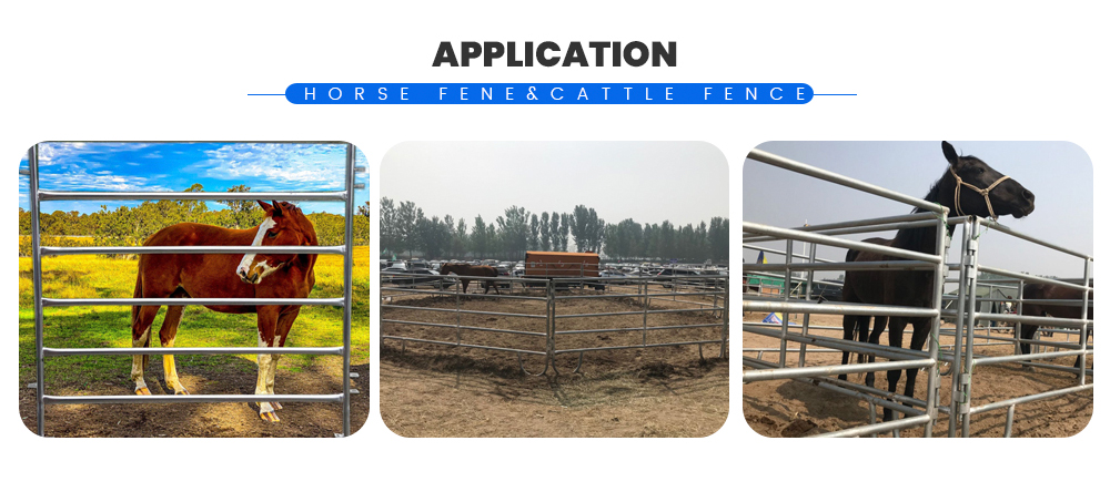 Horse-Fene&Cattle-Fence_03.jpg Horse-Fene&Cattle-Fence_03.jpg