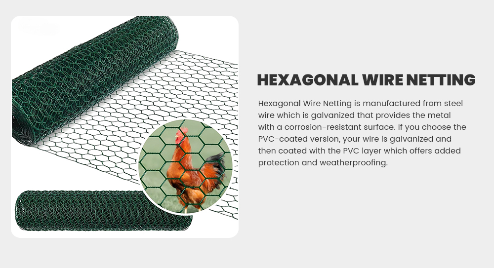Hexagonal-Wire-Mesh_01.jpg