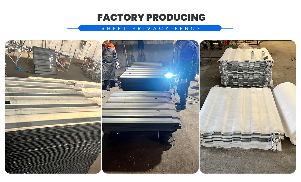 img_04.jpg img_04.jpg